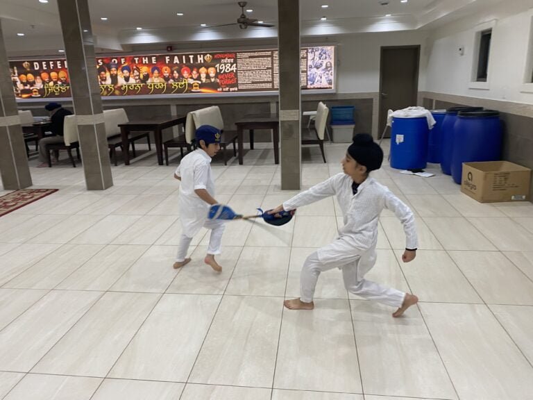 4_apr_gatka6